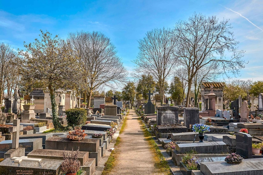 A cemetery with rows of headstones and a central path. 3