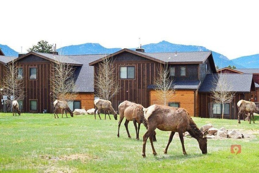 Self-Guided Audio Driving Tour in Rocky Mountain National Park 4
