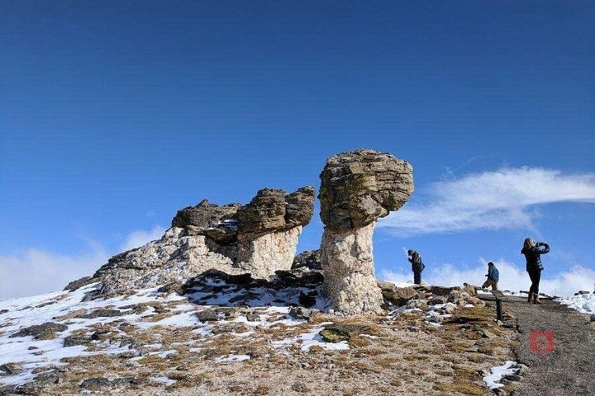 Self-Guided Audio Driving Tour in Rocky Mountain National Park 3