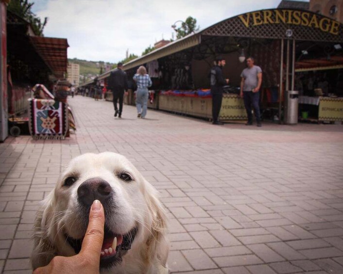 A dog with a human finger on its nose, a market stall with 'VERNISSAGE' signage, and people walking on a paved street. 3