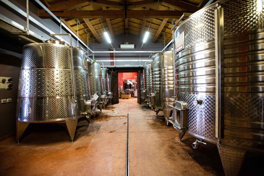 Picture 6 for Activity Montepulciano: Winery Tour & Wine Tasting – Della Cortigiana 5