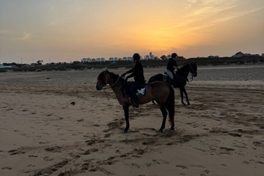 Scenic Horseback Adventure Along Essaouira’s Beaches 4