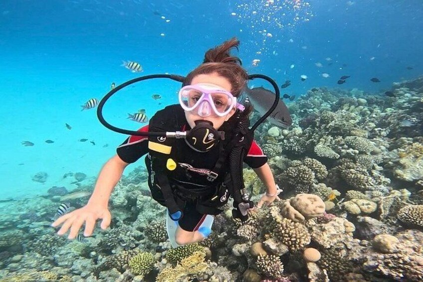 Sahl Hasheesh Elite Beach Dive and Coral Reef Experience 1