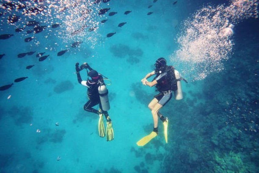 Two scuba divers underwater with fins, surrounded by fish. 2