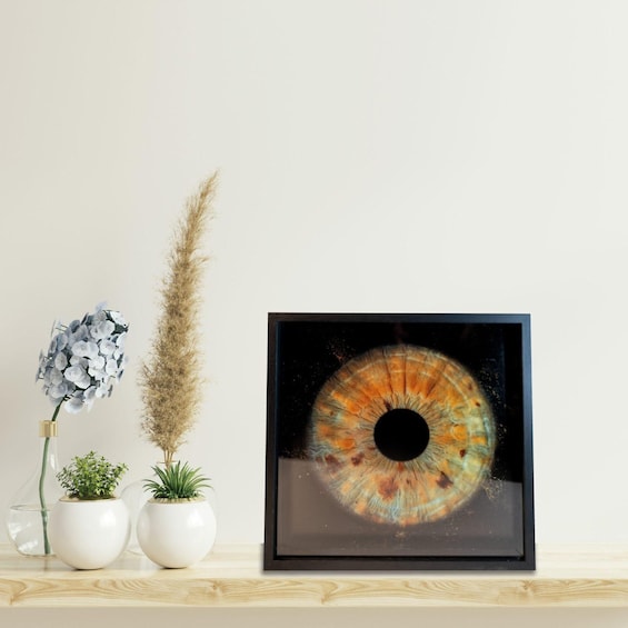 A framed artwork of an eye, two potted plants, and a tall grass on a shelf. 3