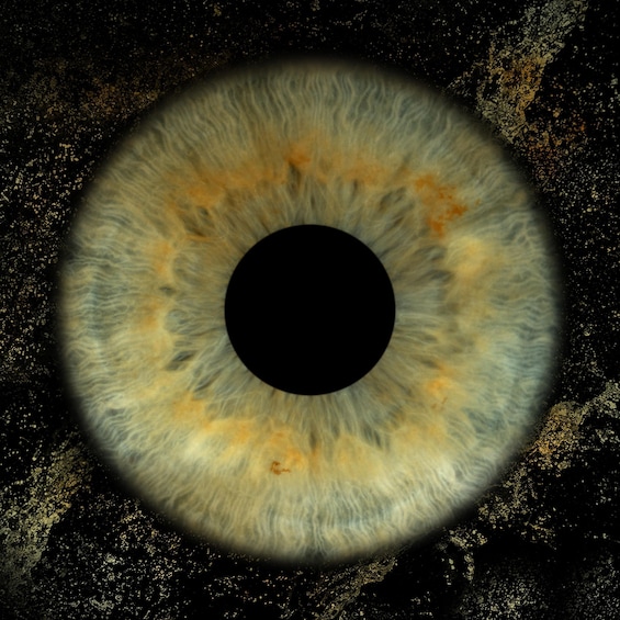 A circular object with a textured surface and a central dark area. 2
