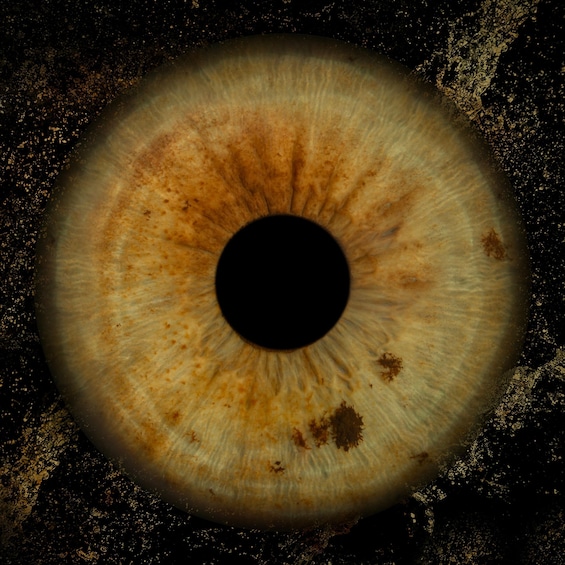 A circular object with a central dark void and concentric rings of varying textures and colors. 4