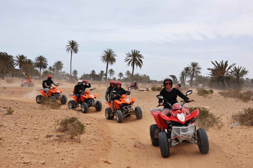 A group of people on quad bikes in a desert with palm trees. 2