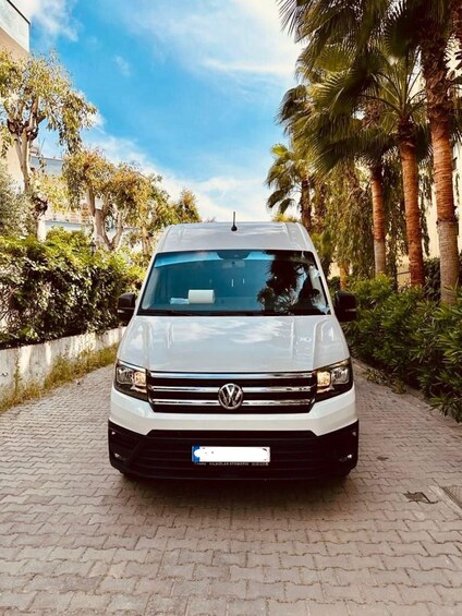 A white Volkswagen van parked on a paved path with palm trees and greenery in the background. 3