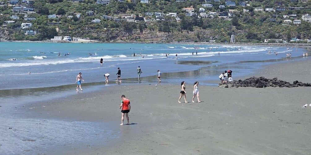 A beach with people walking and swimming, surrounded by houses and greenery. 3