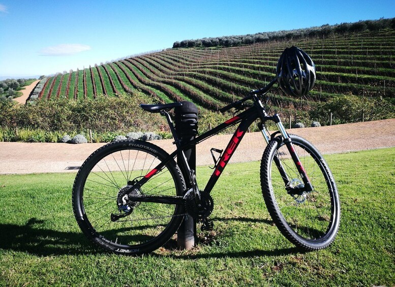 A mountain bike with a helmet on the grass, a dirt path, and terraced vineyards in the background. 3