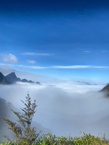 A mountain landscape with a clear sky, a tree in the foreground, and a layer of clouds below the mountain peaks. 2