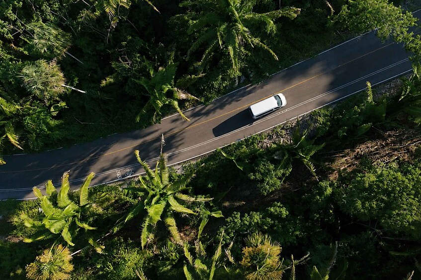 A white truck on a winding road surrounded by dense green foliage. 3