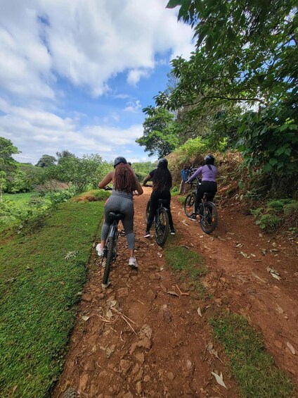 Four people riding bicycles on a dirt trail surrounded by greenery. 5
