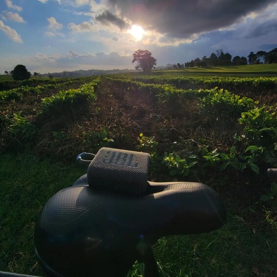 A black object with a mesh bag on a grassy field with a tree and a cloudy sky. 1