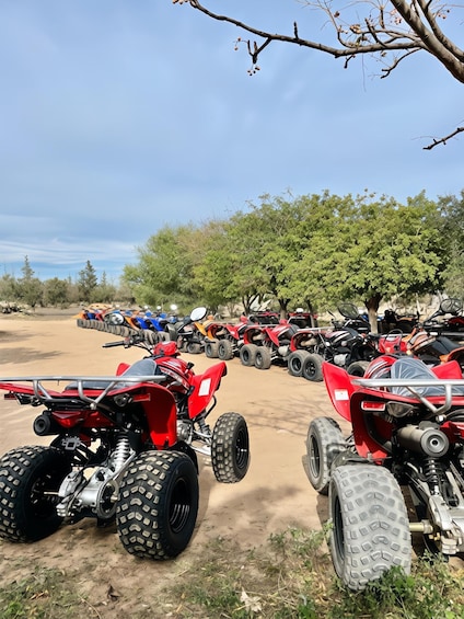 A row of red quad bikes parked on a dirt ground with trees in the background. 1