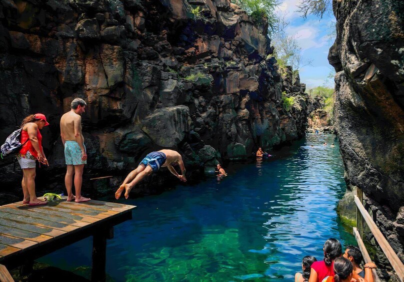 A rocky pool with people swimming and standing on a wooden dock. 4