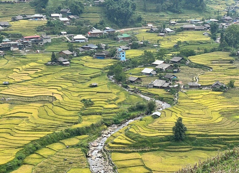Terraced rice fields with houses and a river. 4