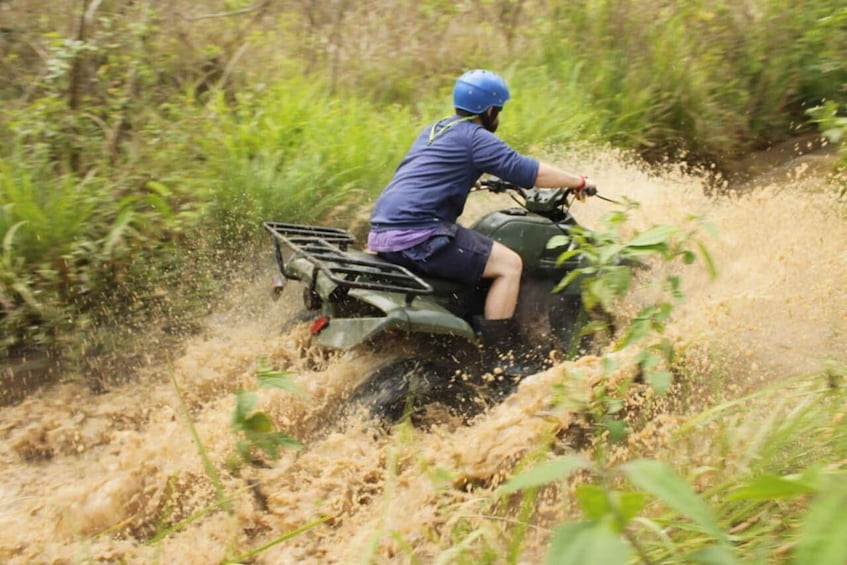 A person riding a quad bike through a grassy area with tall vegetation. 3
