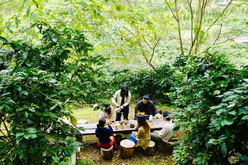 Picture 1 for Activity Da Lat: Coffee Roasting & Tasting Workshop at Twin Bean Farm 2