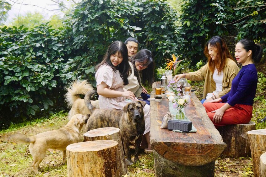Picture 5 for Activity Da Lat: Coffee Roasting & Tasting Workshop at Twin Bean Farm 4