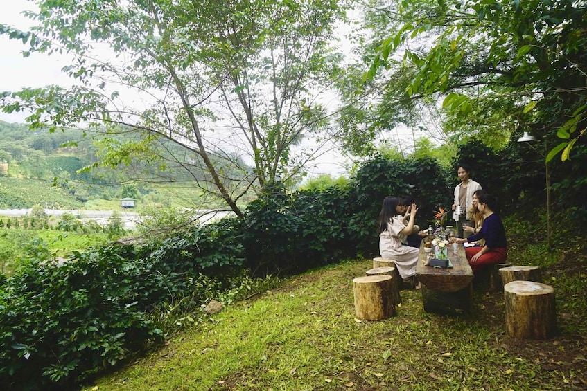 Picture 6 for Activity Da Lat: Coffee Roasting & Tasting Workshop at Twin Bean Farm 3