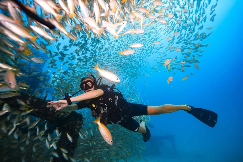 Picture 14 for Activity From Phi Phi: PADI Discover Scuba Half Day Trip (2 Dives) 2