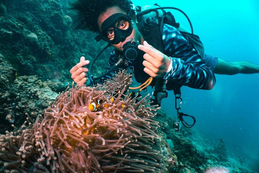 A diver with a camera pointing at a sea anemone with clownfish. 1