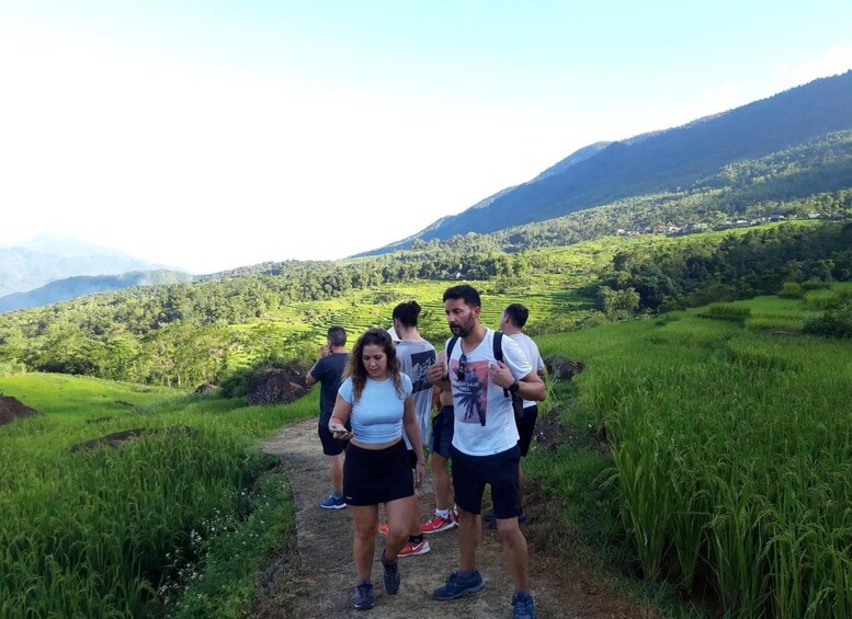 Un groupe de personnes fait de la randonnée sur un sentier de terre, entouré de champs verdoyants et avec des montagnes en arrière-plan. 3
