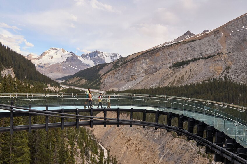From Jasper: Icefield Parkway & Glacier Adventure 1