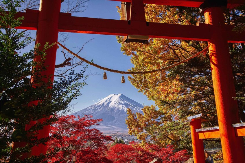 Picture 21 for Activity Tokyo: Mt Fuji, Oshino Hakkai,Chureito Pagoda,Lake Kawaguchi 5