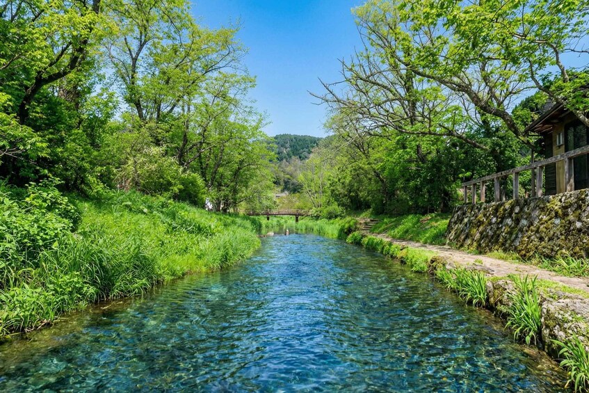 A clear river with a wooden bridge, surrounded by lush greenery and a stone wall on one side. 5