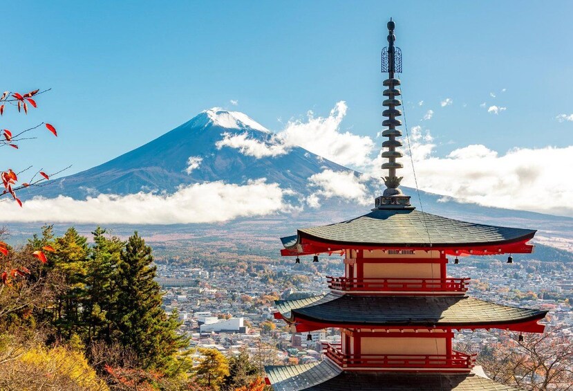 Picture 2 for Activity Tokyo: Mt Fuji, Oshino Hakkai,Chureito Pagoda,Lake Kawaguchi 4