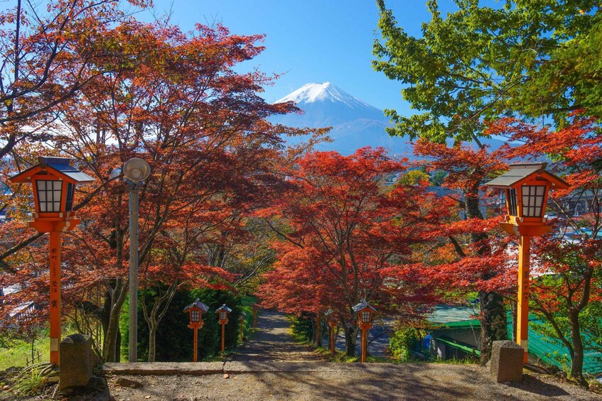 Picture 28 for Activity Tokyo: Mt Fuji, Oshino Hakkai,Chureito Pagoda,Lake Kawaguchi 2