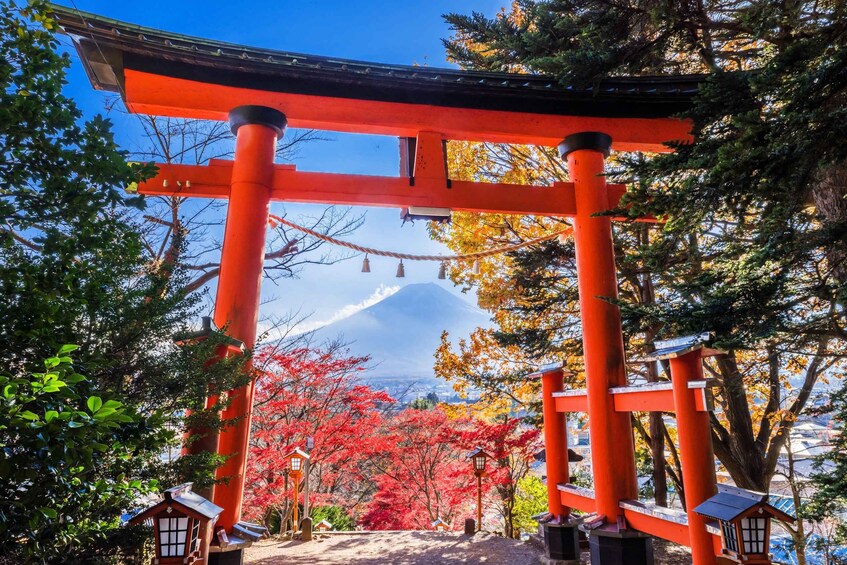 Picture 29 for Activity Tokyo: Mt Fuji, Oshino Hakkai,Chureito Pagoda,Lake Kawaguchi 3