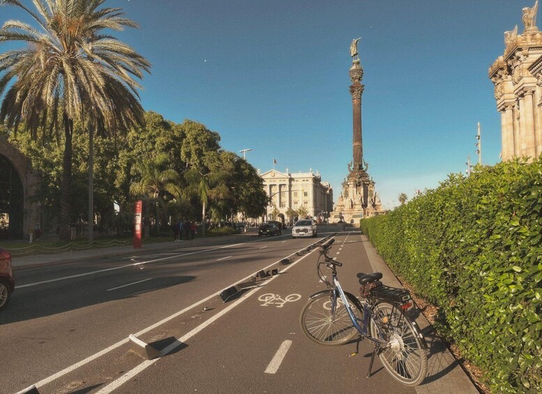 A street with a bicycle lane, palm trees, a monument, and classical architecture. 2