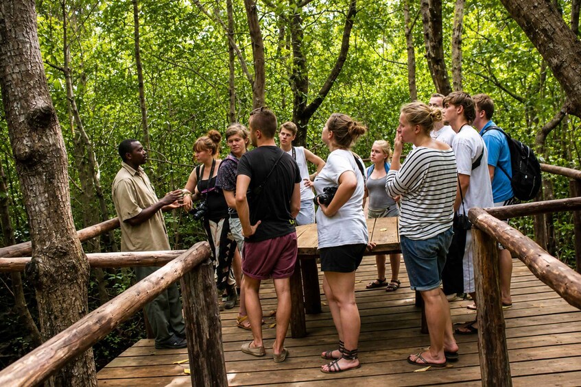 A group of people standing on a wooden bridge in a forested area. 3