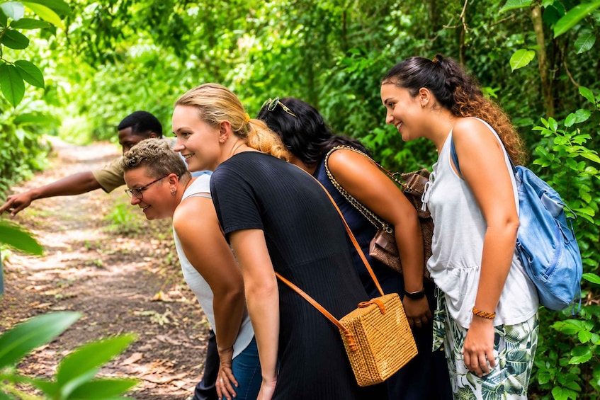 Picture 16 for Activity Zanzibar: Jozani Forest with Mangrove Boardwalk Experience 2