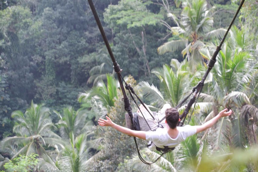 A person suspended in mid-air by a harness, surrounded by dense palm trees. 4