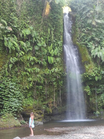 Picture 2 for Activity Lombok: Hidden Waterfalls & Jungle Trek with Swim 4