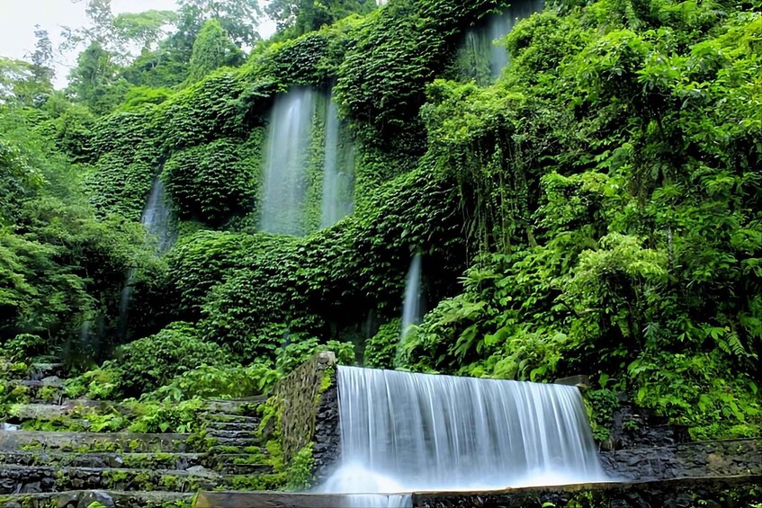 Lombok: Hidden Waterfalls & Jungle Trek with Swim 1
