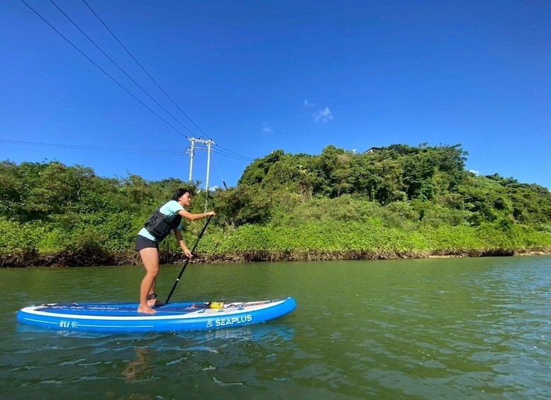 A person paddleboarding on a blue board with 'SEAPLUS' written on it, surrounded by greenery and a clear sky. 4
