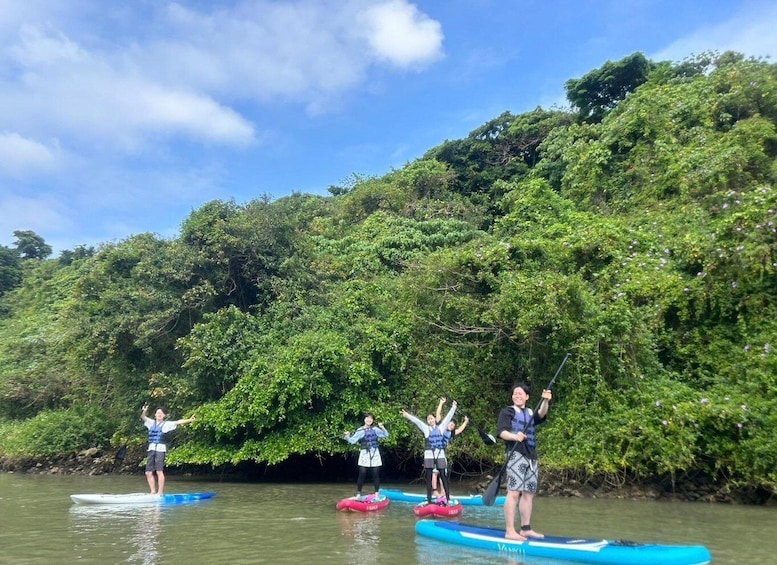 People paddleboarding on calm water with dense greenery in the background. 2