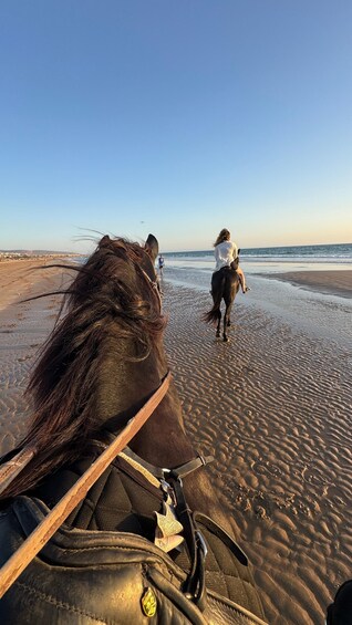 A horse and rider on a beach with the ocean in the background. 3