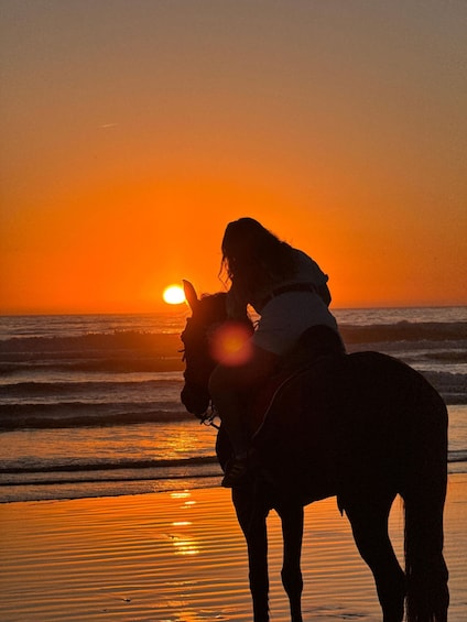 A person riding a horse on a beach at sunset. 1