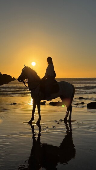 A person riding a horse on a beach at sunset. 5