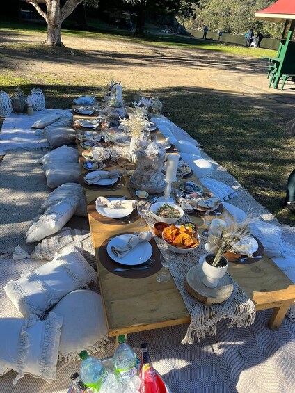 An outdoor picnic setup with a long table, blankets, and food. 1
