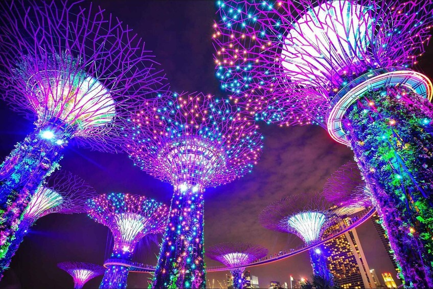 Illuminated structures resembling trees with a cityscape in the background. 2