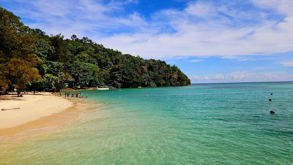 A beach with clear turquoise water, sandy shore, and dense green forest. 3