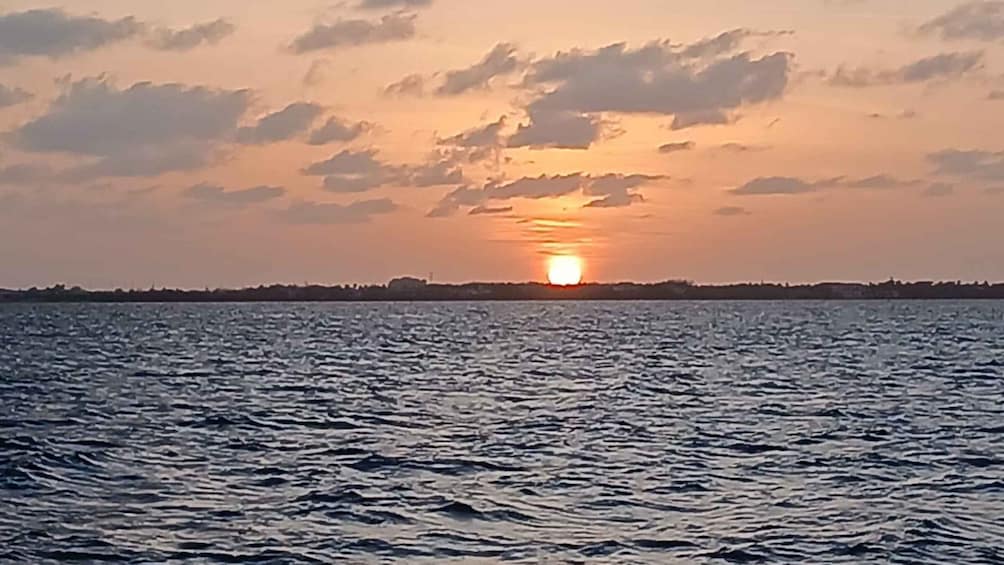 Picture 22 for Activity Grand Cayman: Stingray City Catamaran Sunset Tour 2
